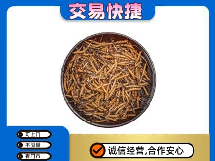阳江高价回收散虫草